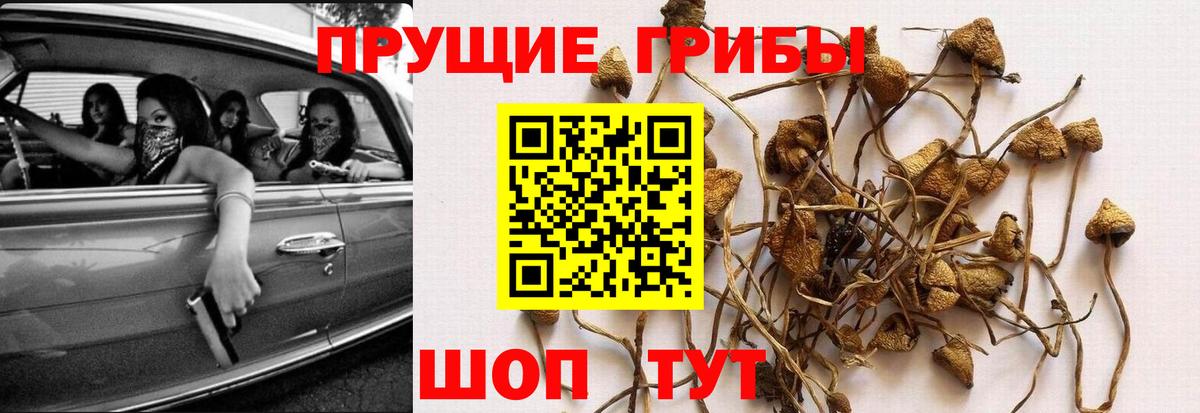 Псилоцибиновые грибы ЛСД Озёры