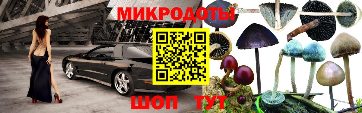 даркнет сайт  Галлюциногенные грибы прущие грибы  Вход с VPN  Озёры 
